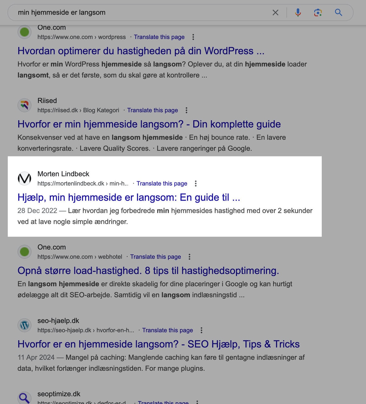 google serp hastighedsoptimering